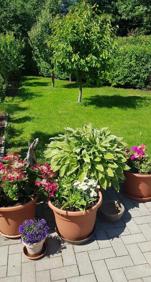 Ferienresidenz Naturoase Краков ам Зее Екстериор снимка