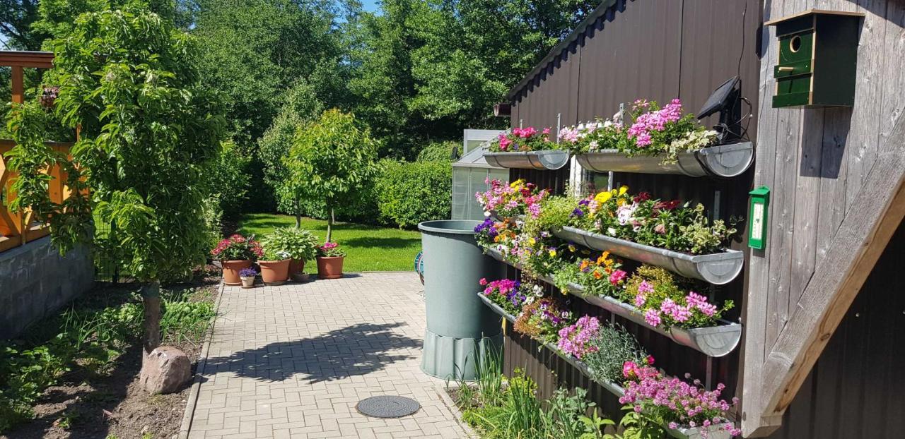 Ferienresidenz Naturoase Краков ам Зее Екстериор снимка