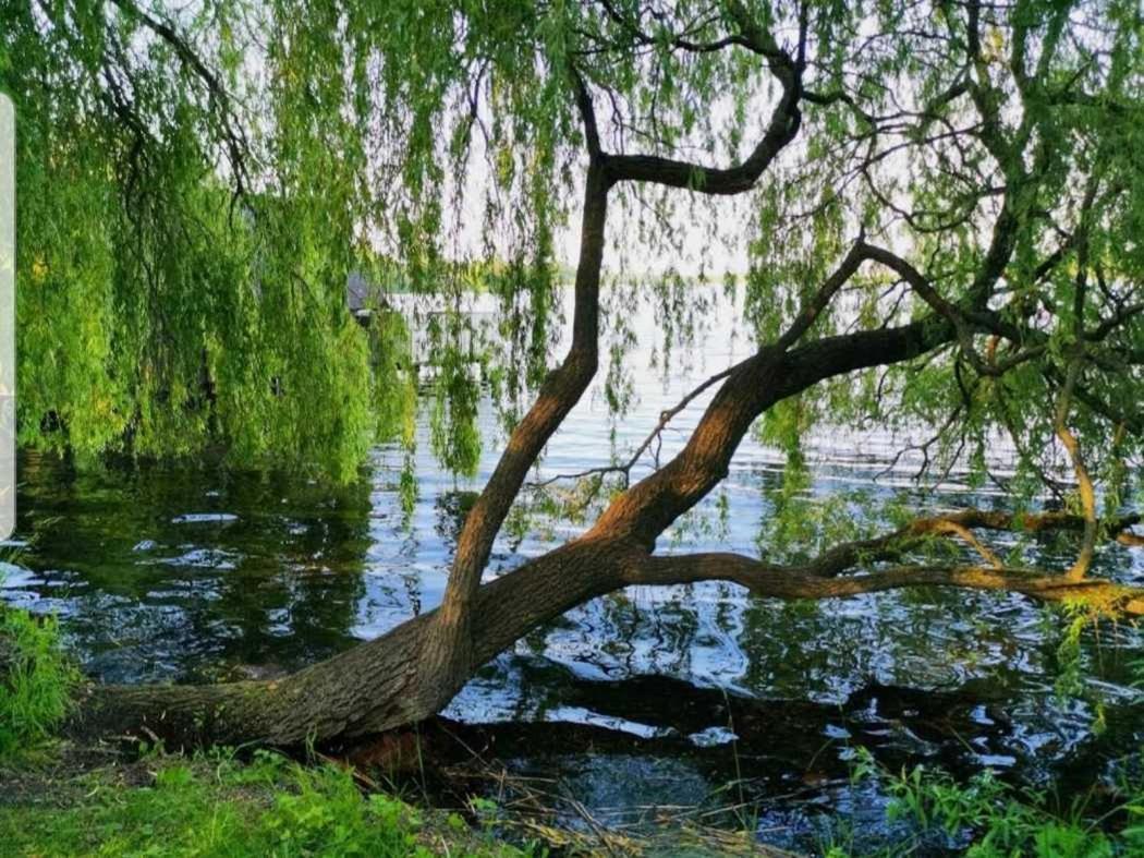 Ferienresidenz Naturoase Краков ам Зее Екстериор снимка